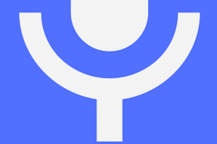 Voice Search and What it Means for You