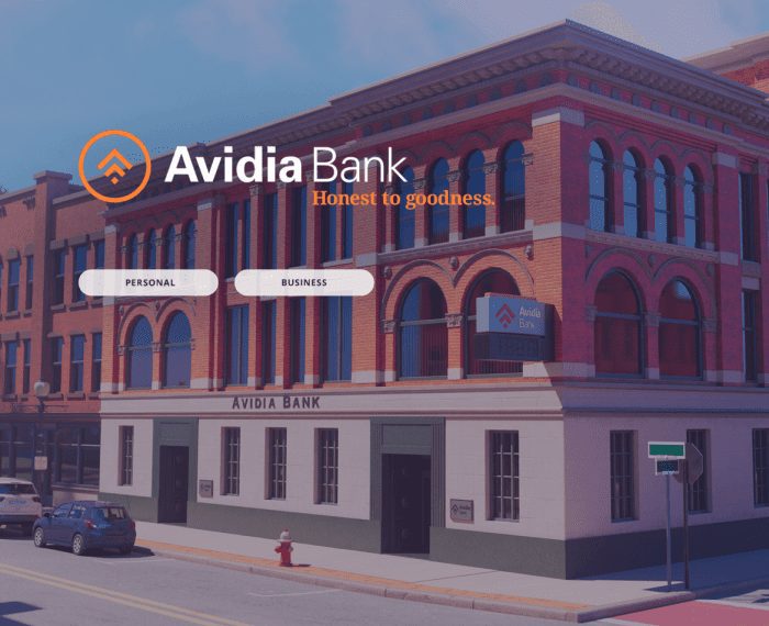 Avidia Bank Digital Marketing Case Study Cover Image