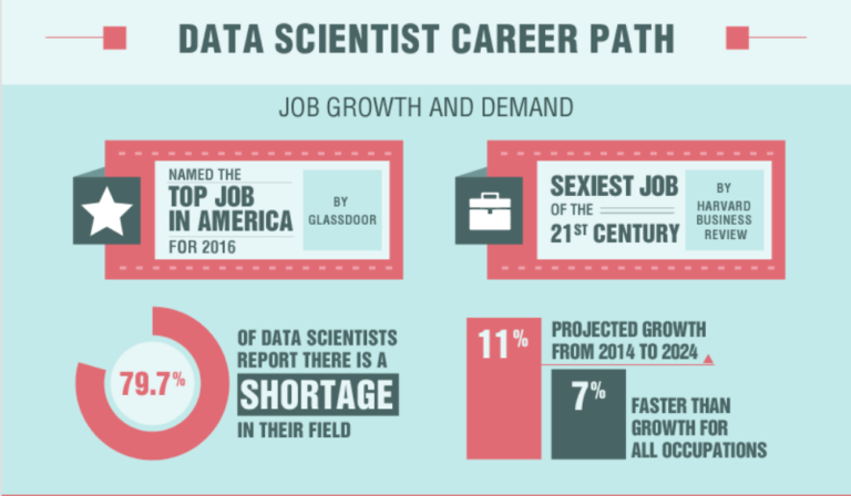 data scientist career path